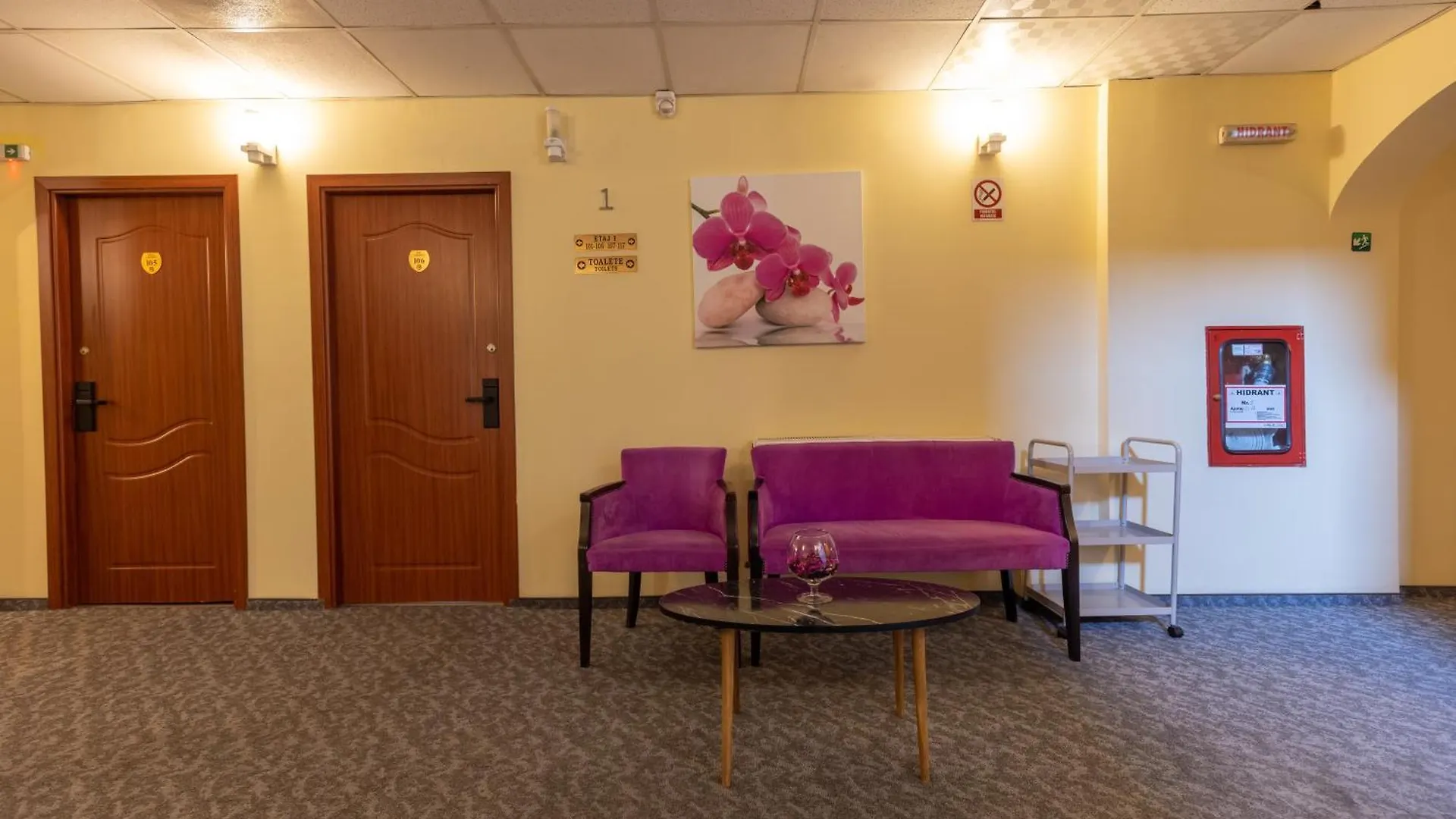 Hotel Sir Gara De Nord Bucareste